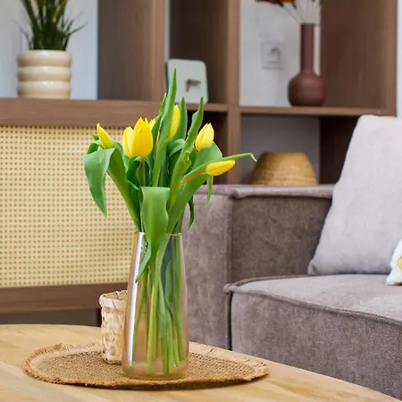 Ijg Imperial * Sopot